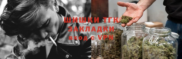 МДПВ Гусев