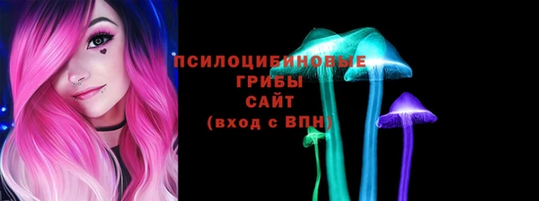 Альфа ПВП Горняк