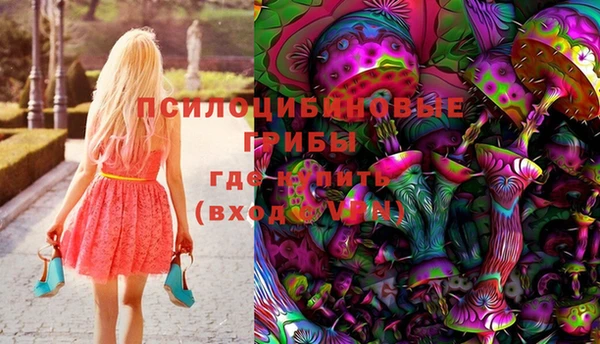 ALPHA PVP Горнозаводск