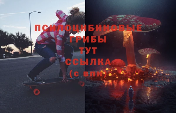 ALPHA PVP Горнозаводск