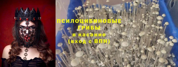 МДПВ Гусь-Хрустальный