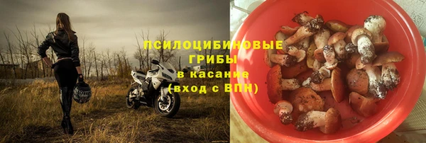 Альфа ПВП Горняк