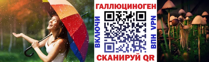 Галлюциногенные грибы ЛСД  Купить  Жиздра 